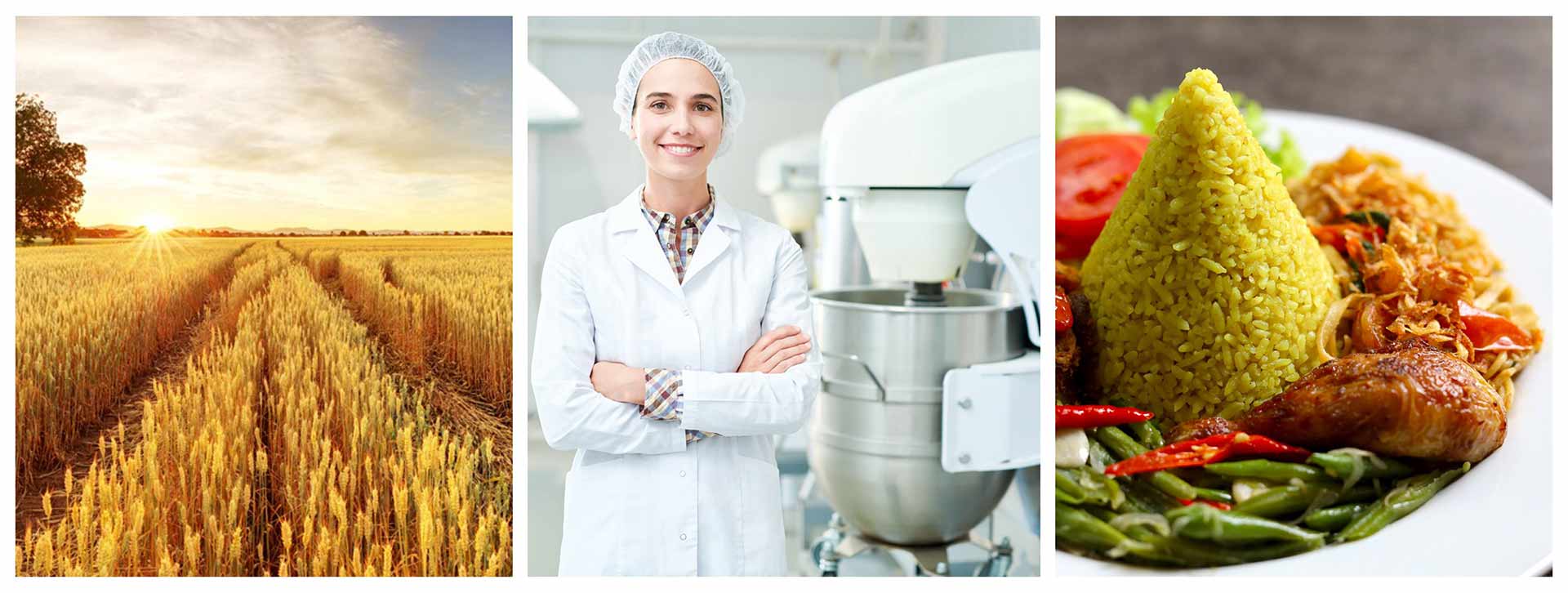 photo montage of three photos, one of a field, the second of a woman in a sterile industrial environment and the third of food on a plate.
